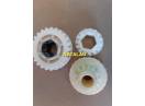 pinion semanatoare Amazone